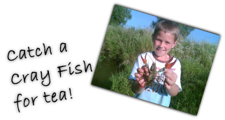 Catch a 
Cray Fish 
for tea!